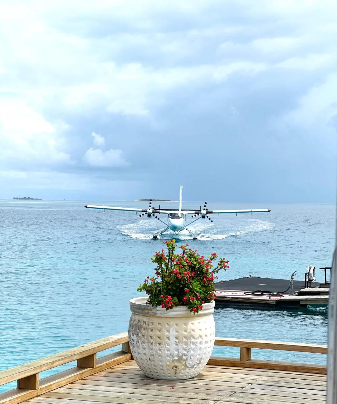 海岛瑜伽度假体验,运动与放松的完美结合的简单介绍 海岛瑜伽度假体验,运动与放松的完美结合的简单介绍