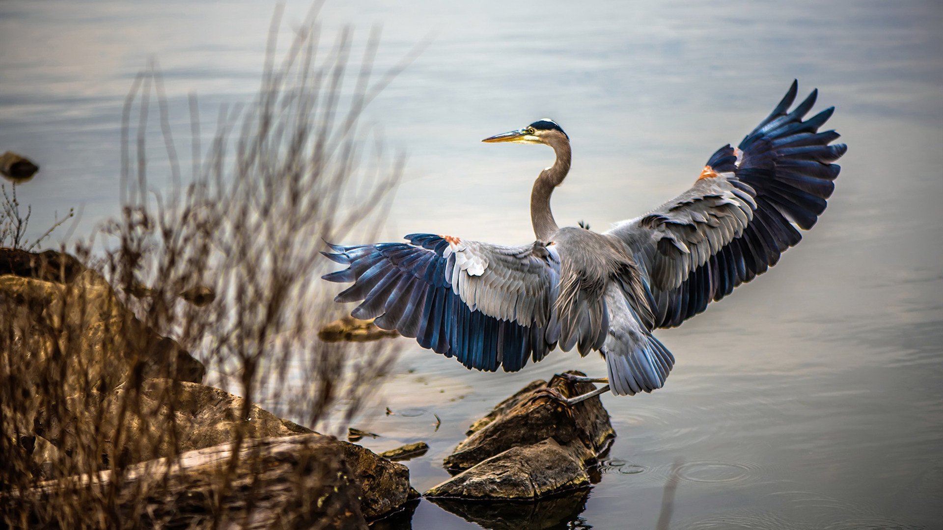 B体育APP下载网址-_创意比赛：结合舞蹈元素的网球表演赛火热上演_，健身网球舞