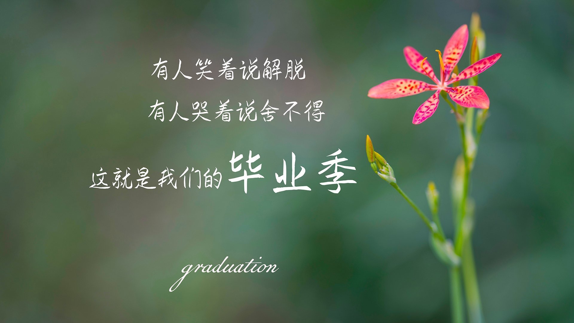 “全球巡演：五大洲最震撼的极限赛段”，五大洲选手首次齐聚的奥运会是哪一届