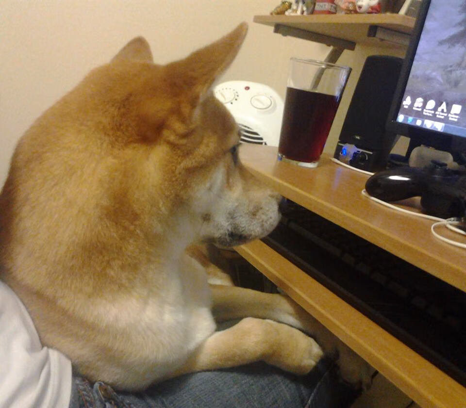 B体育中国内陆官方网站-“英超豪门拼劲十足，点滴比赛决定命运”，英超十大豪门