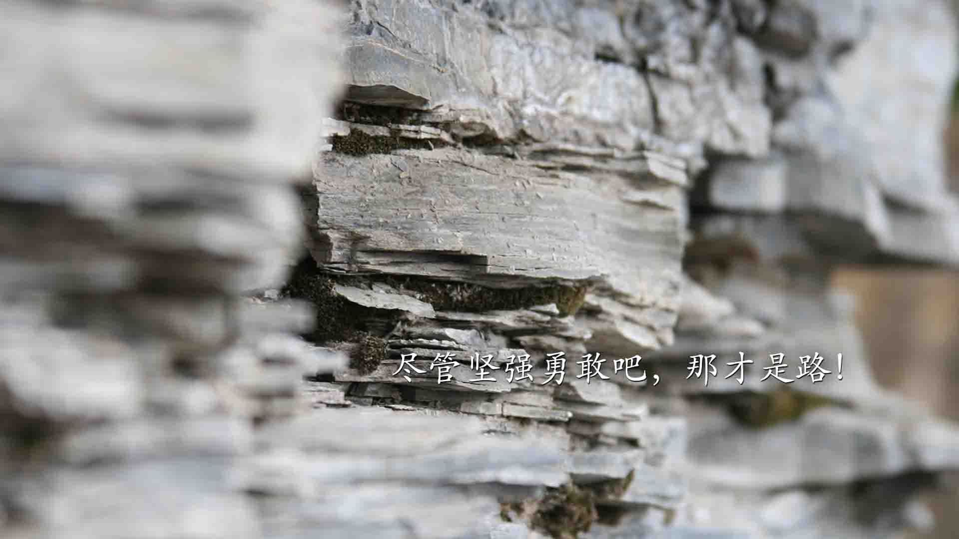 【赛事幕后】精彩的开幕式和闭幕式准备工作全流程揭秘，开幕式 流程