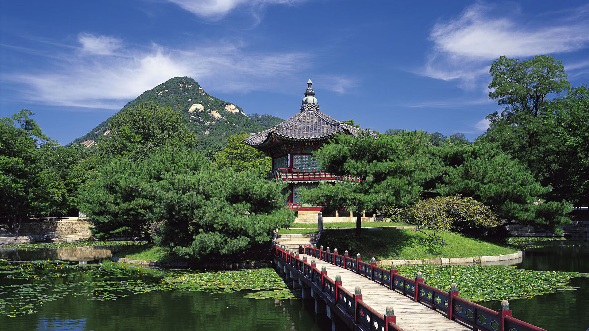 智能材料:未来赛车的革新之路,智能汽车材料