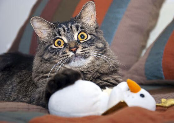 环球体育结合：NBA带动全球青少年篮球热潮，青少年篮球现状