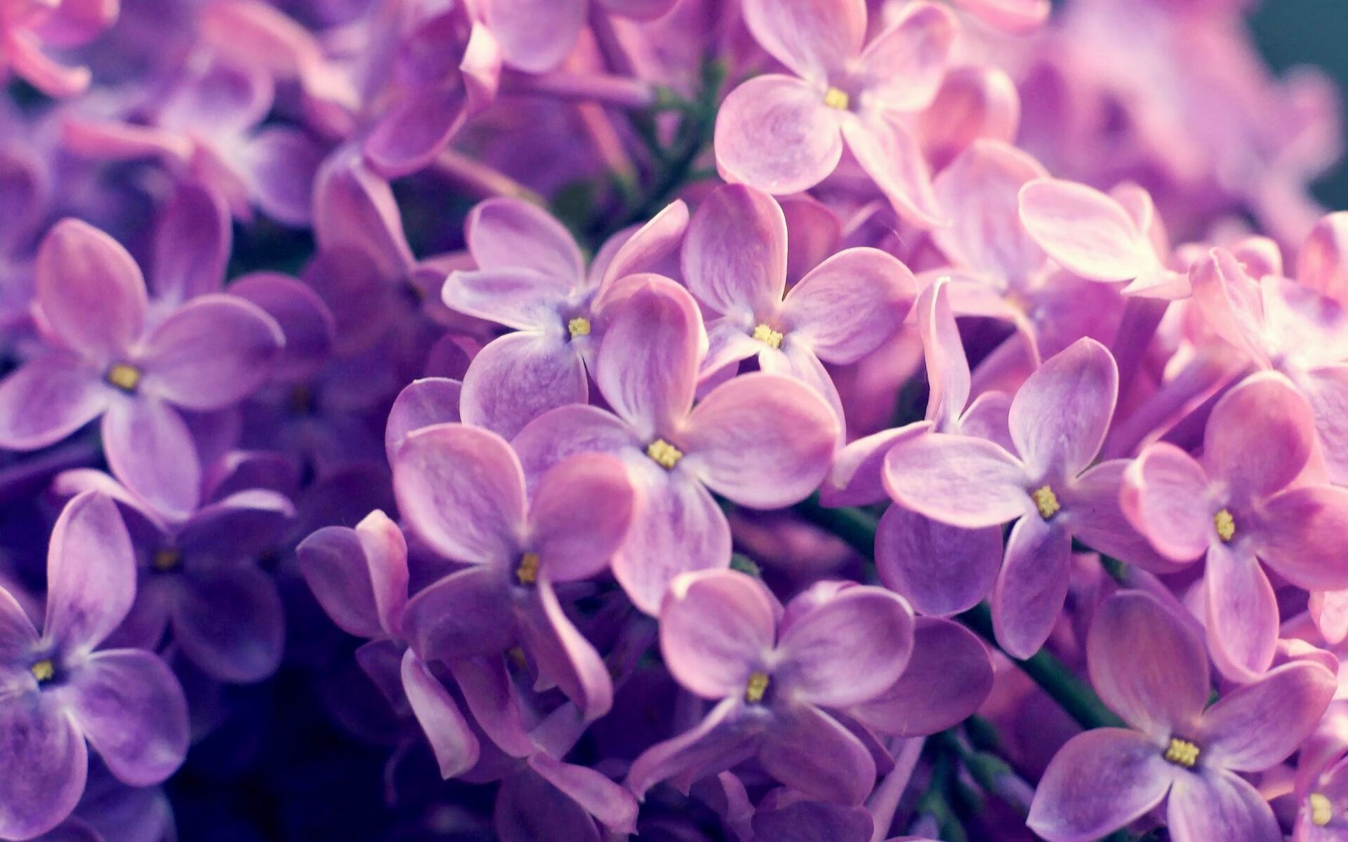 国足战绩是否受限于战术体系缺乏创新,国足技战术分析