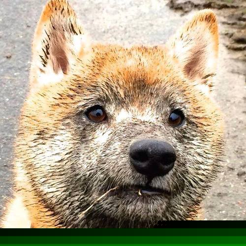 欧洲足球冠军联赛席卷全球球迷狂欢,欧洲足球俱乐部冠军联赛