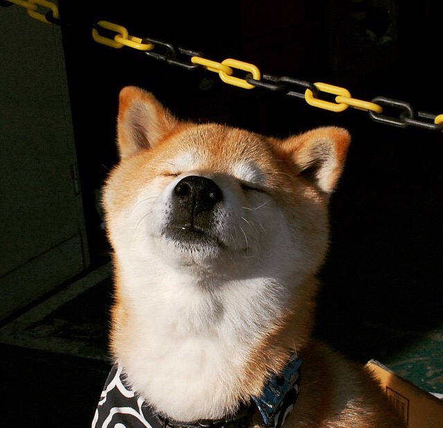 波兰战胜奥地利，生死战晋级欧国赛八强，波兰vs奥斯曼