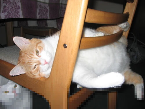 b体育(sports)官方网站-王牌队战术调整见成效，王牌战队要用什么口号