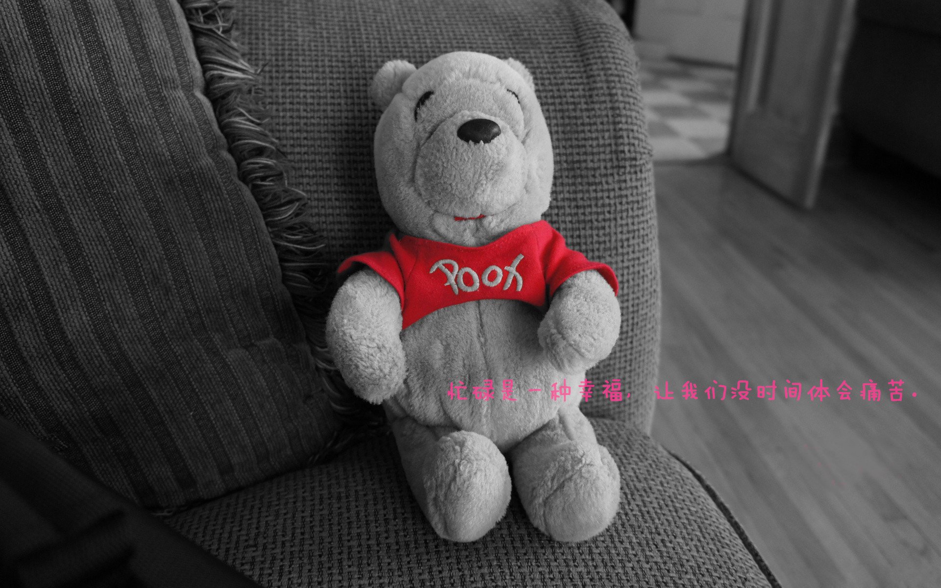 王牌队新赛季目标锁定总冠军,王牌队伍