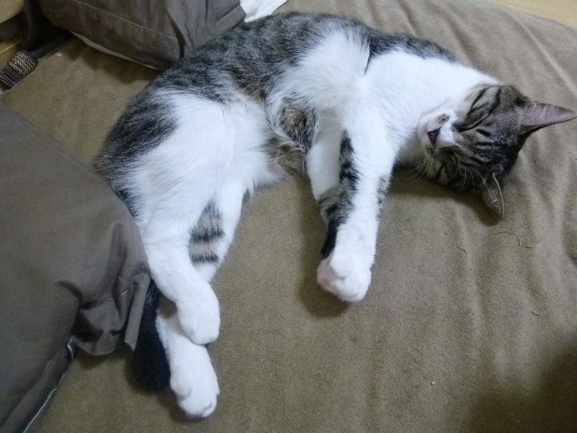 阿斯顿维拉客场平局,稳定发挥,球队保持不败状态,阿斯顿维拉引援