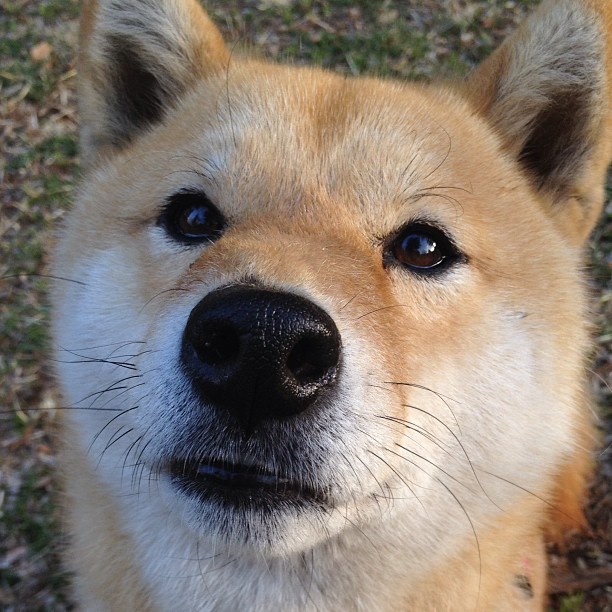 b体育直播-马德里竞技队主场迎战巴塞罗那队，备战西甲，马德里竞技 巴塞罗那 直播