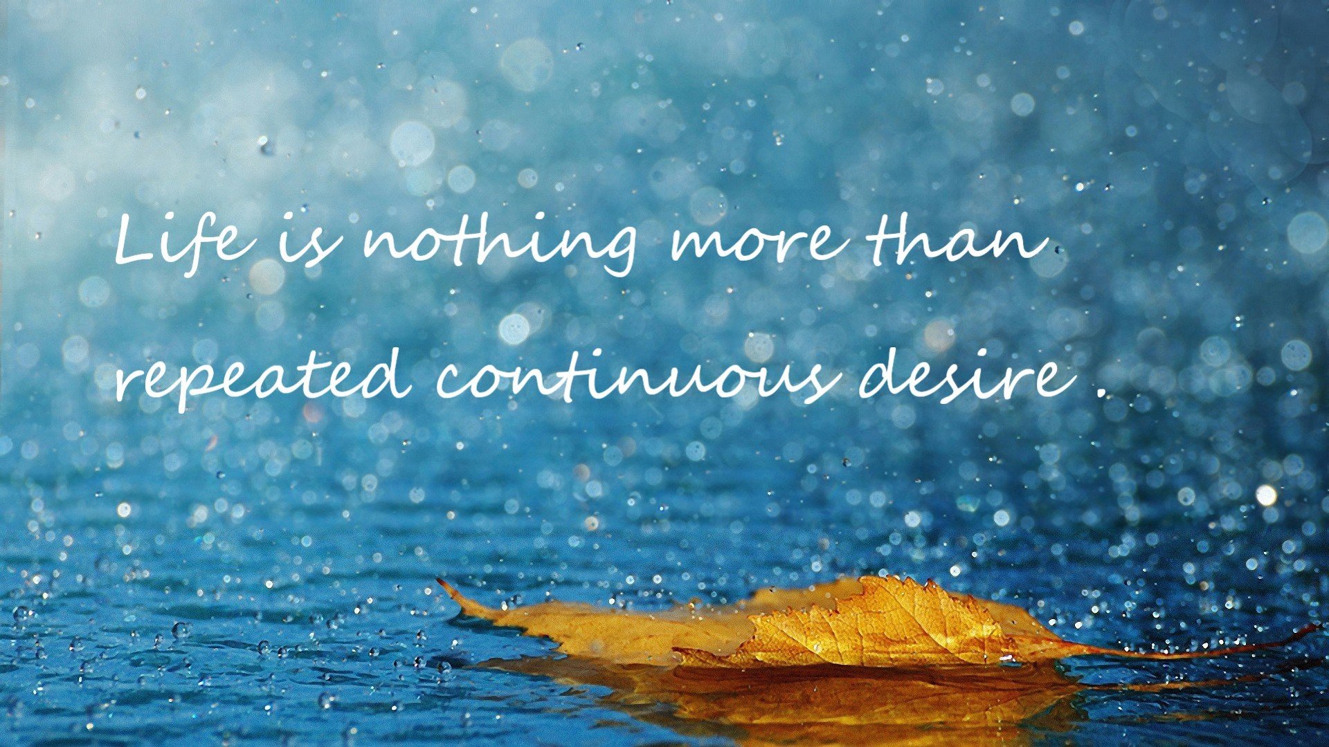 NBA球队战术体系创新与实践探讨，nba战术分析