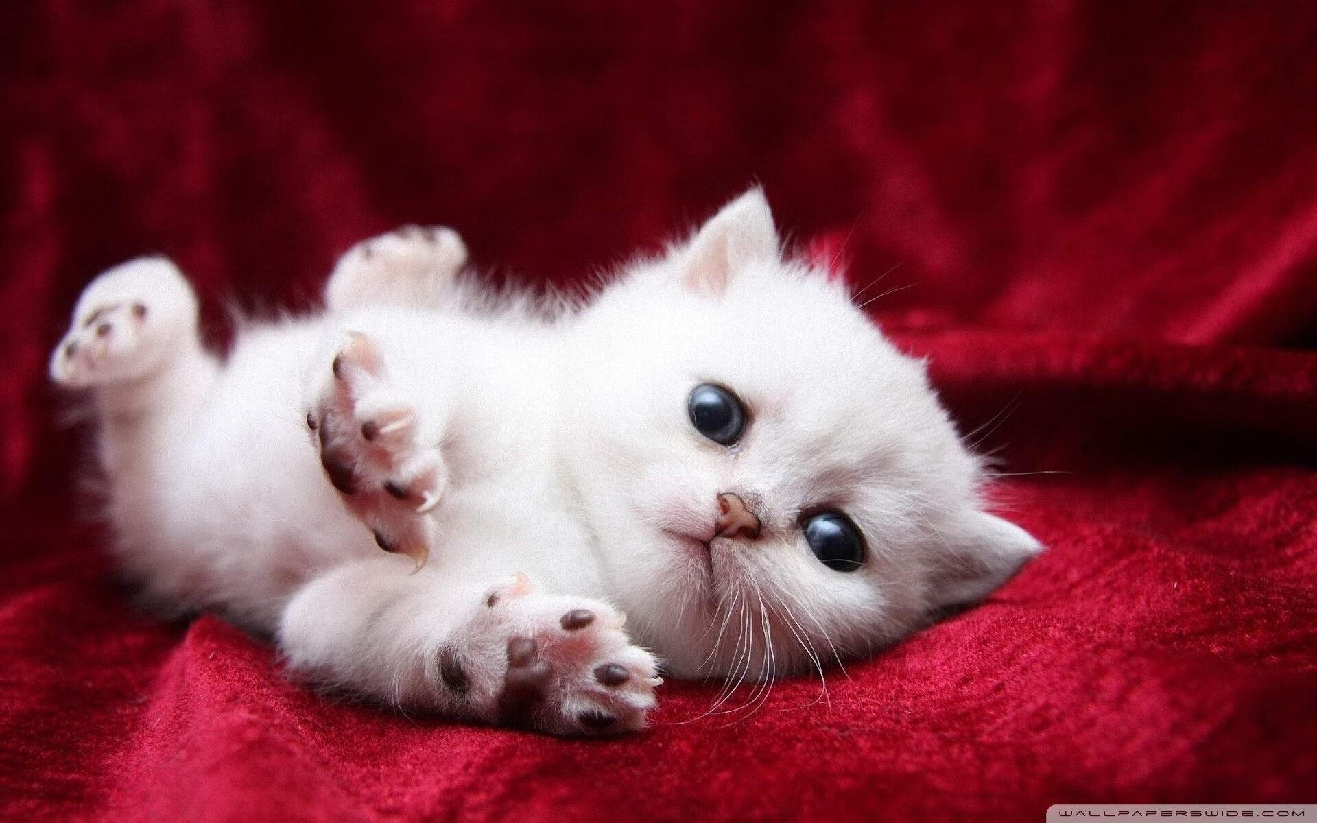 b体育电竞-体育场馆设施智能维护，体育场馆设施维护与管理