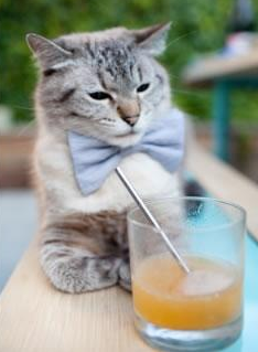 体育场馆设施智能维护，体育场馆设施维护与管理