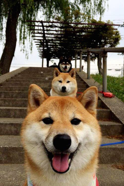 Chinese Taipei的乒乓战术：如何在关键时刻掌控比赛，乒乓台北