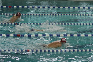 BSPORT 官网-“世界游泳锦标赛：2025新加坡赛场泳池掀起速度与优雅的碰撞”