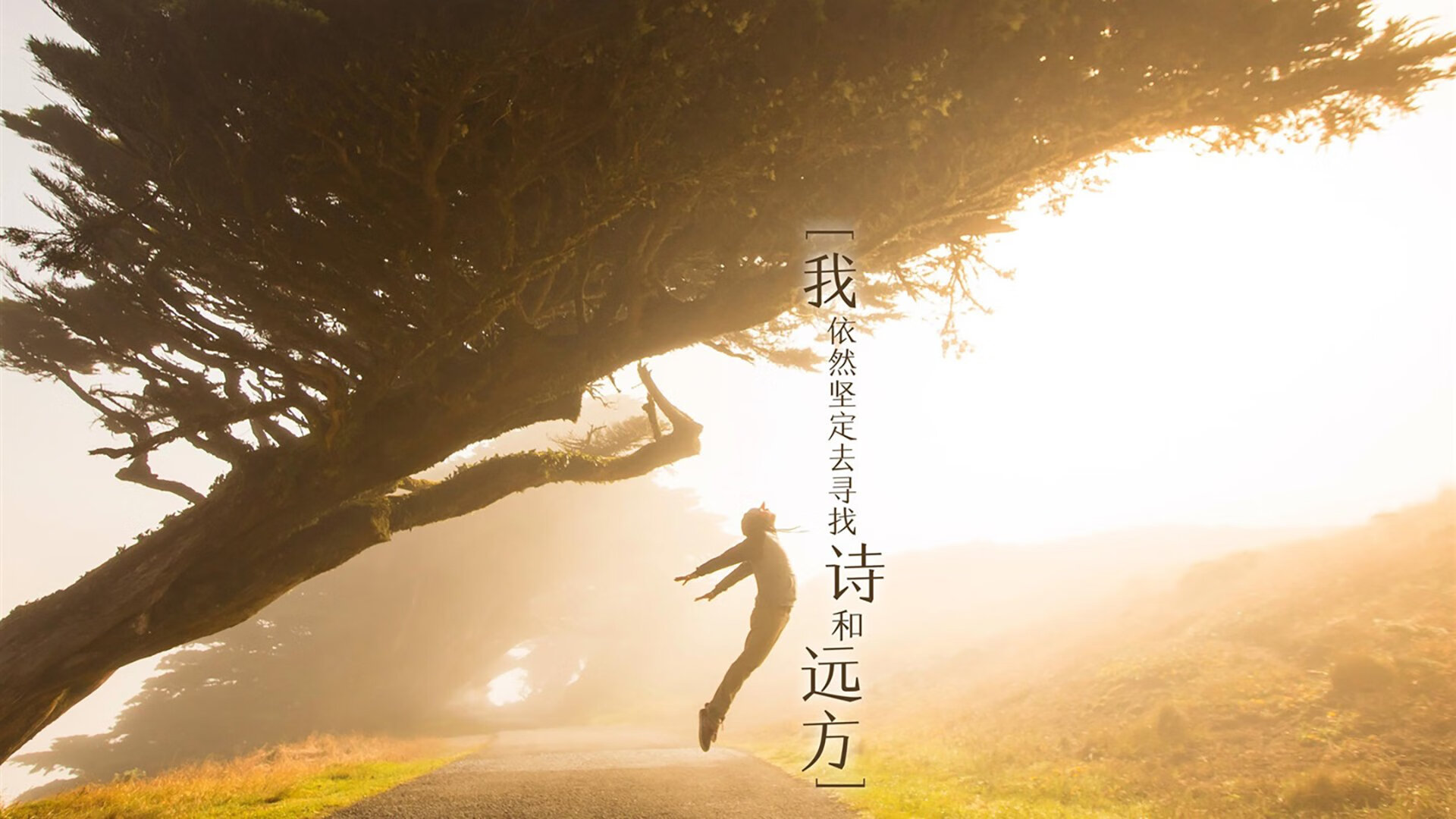 五大联赛经典对决为何总能制造奇迹,五大联赛都夺冠的球员