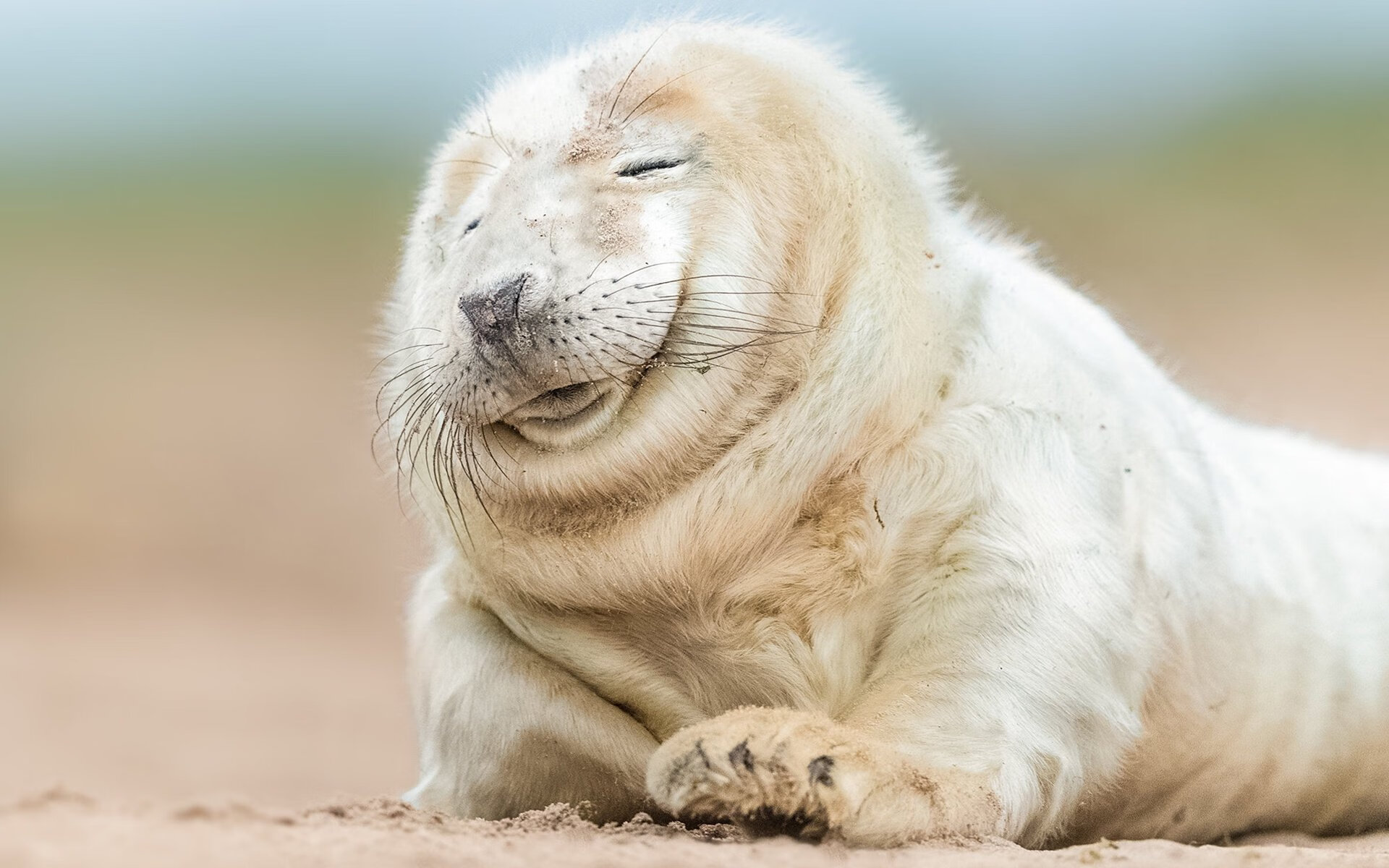 斯图加特前后联动提升推进稳定性,斯图加特0607