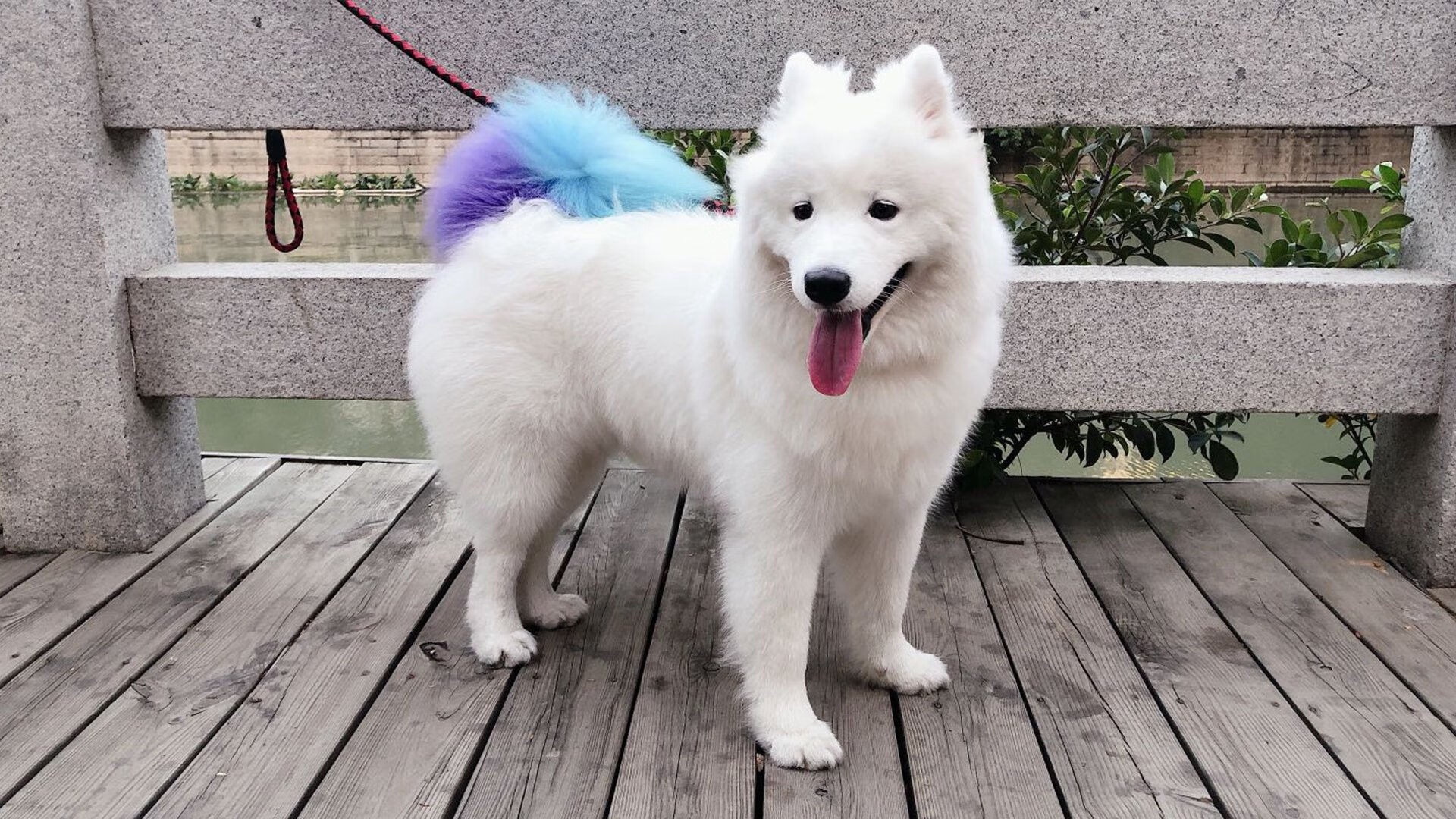 B体育-电竞女队首次亮相国际赛事 引发热议，女电竞战队