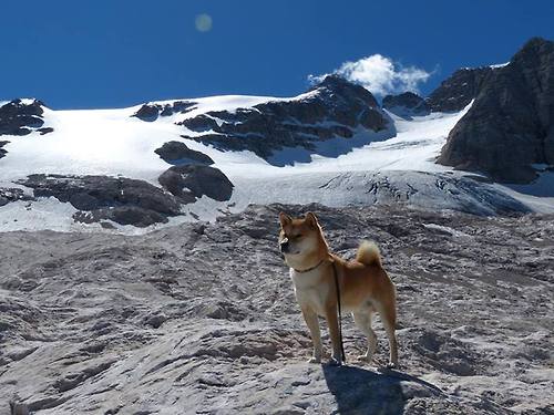 勇士新秀与老将结成互助小组共同进步，勇士新秀2020