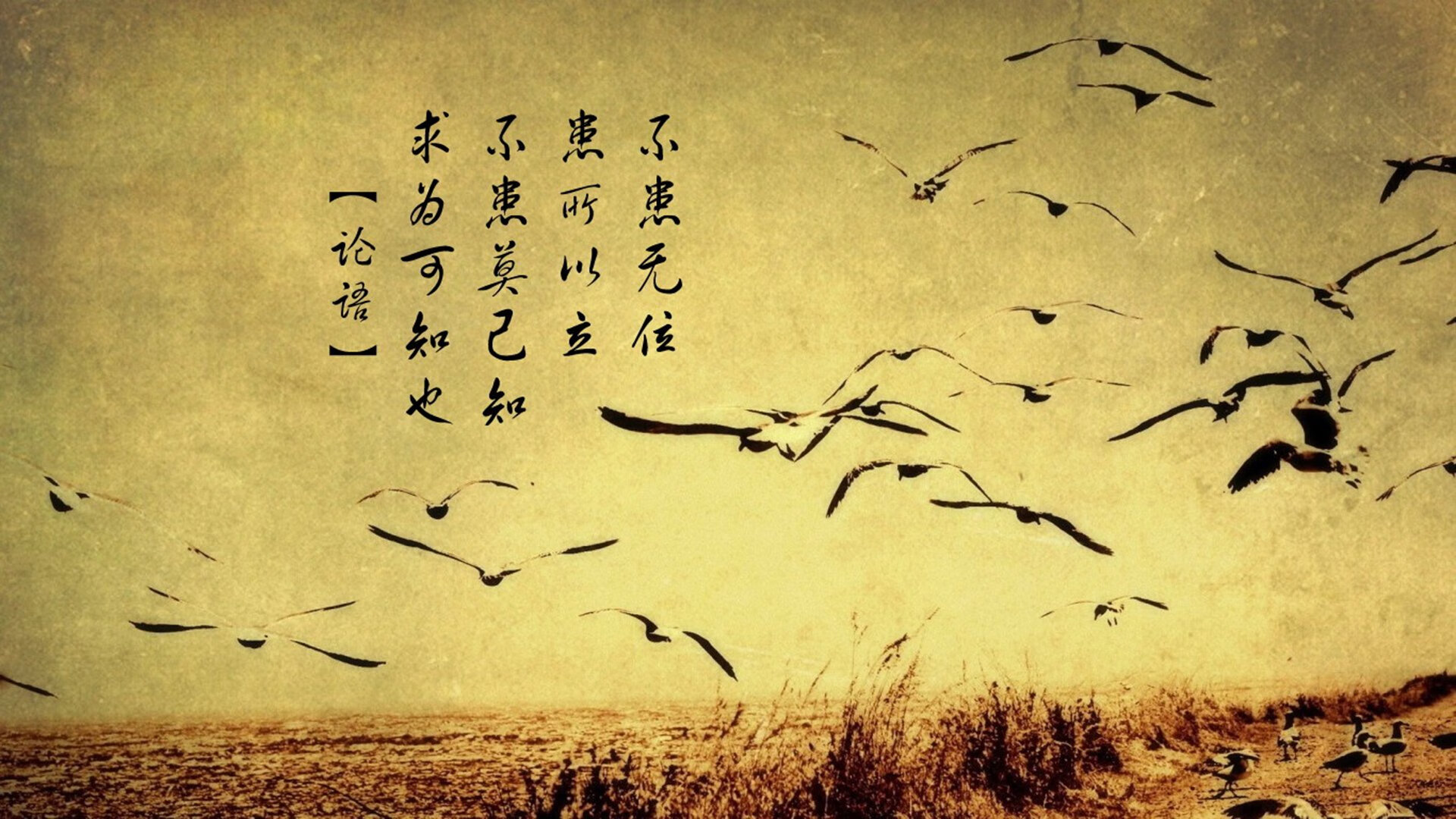 B体育APP下载网址-国王新赛季主题曲由知名艺人特别制作，国王新赛季球衣