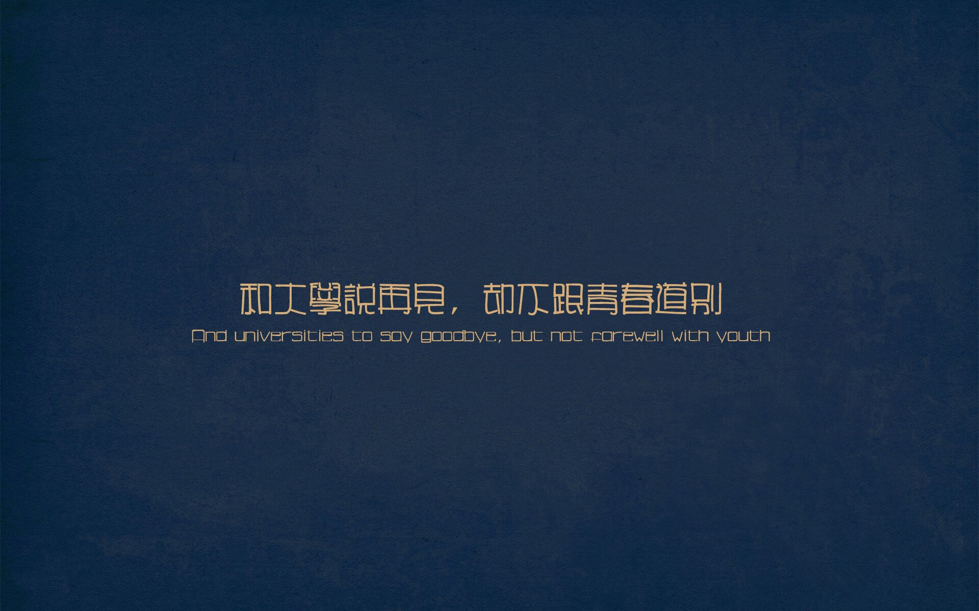 b体育直播-德甲实力派：战略一变，精彩不断！，德甲阵营