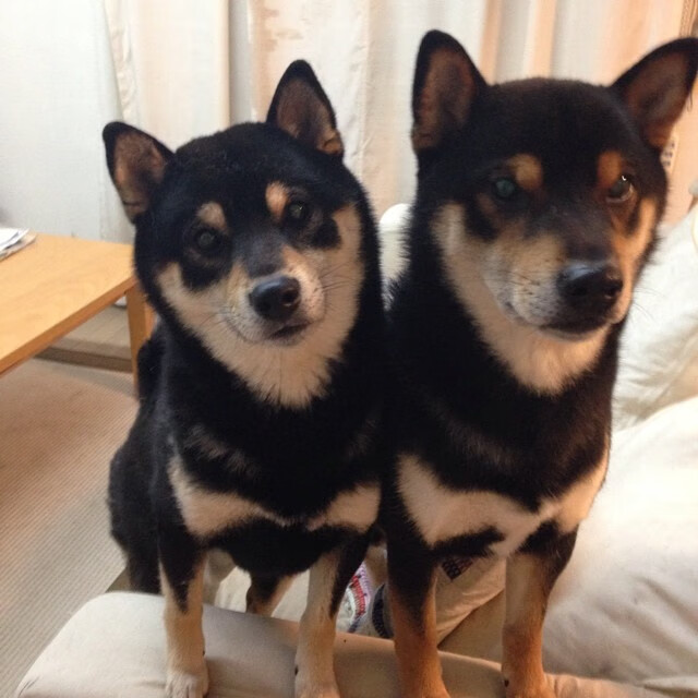 法国新一代天才崭露头角,球队未来可期