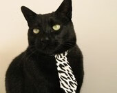 美洲杯后备力量：U23球员名单分析，美洲杯后球员身价