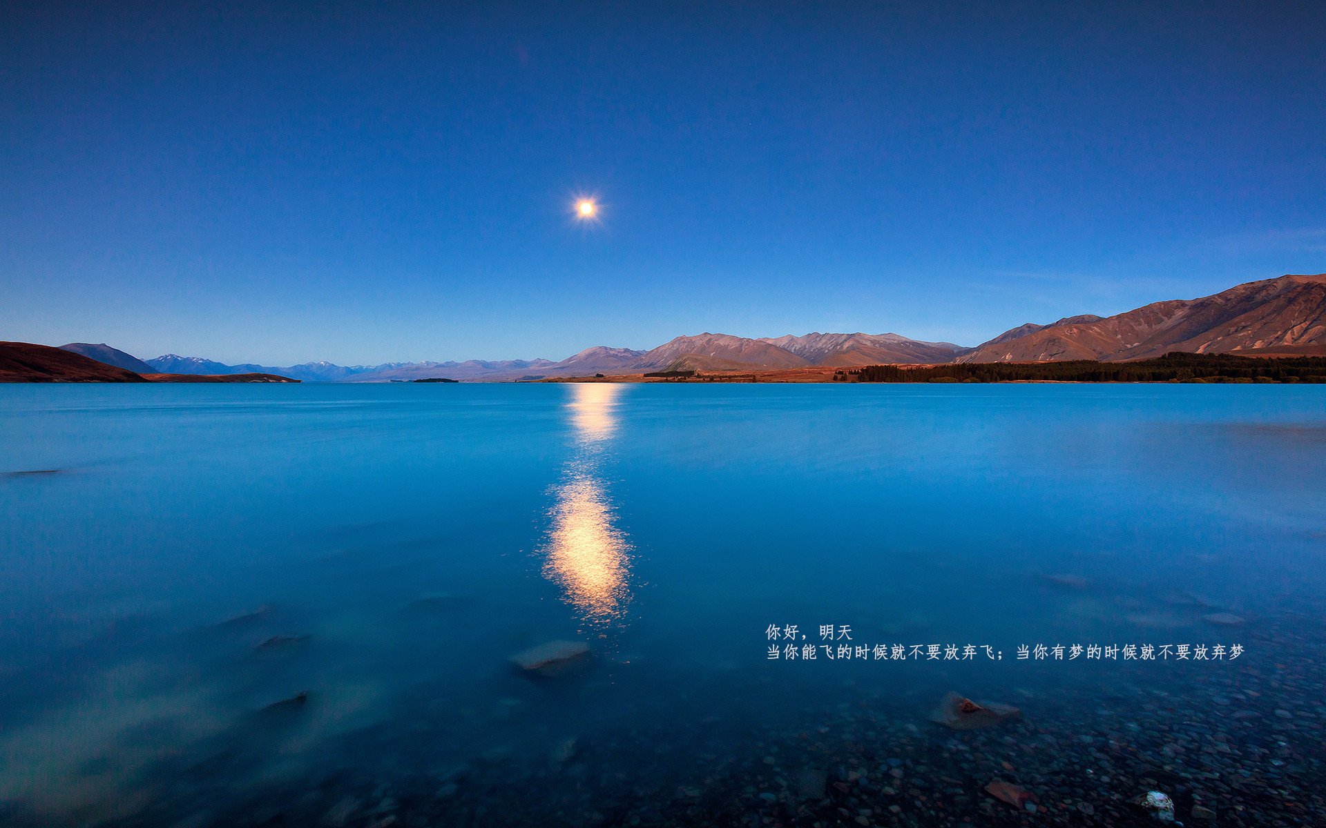 艾比·德尔福:南非队后场防守的关键人物,成功化解威胁,比尔和艾德