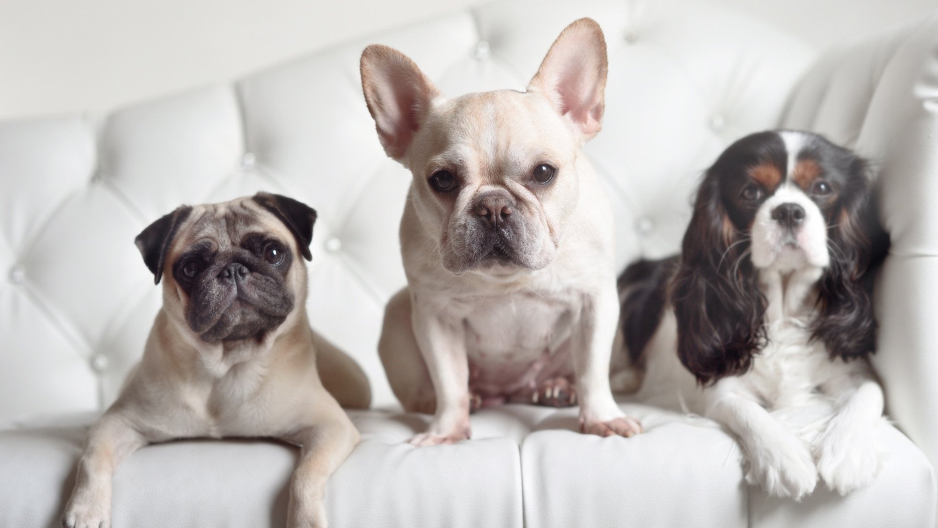 赛场灯光故障瞬间中断比赛,组织方迅速处理,汽车赛道灯