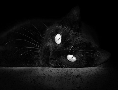 b体育官方网站-足球专用场馆建设提速，基础设施再升级，足球场设备