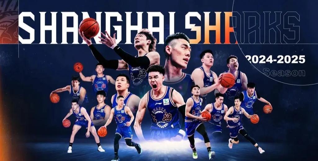 B体育官网：CBA季后赛首轮激战，悬念迭起精彩纷呈的简单介绍