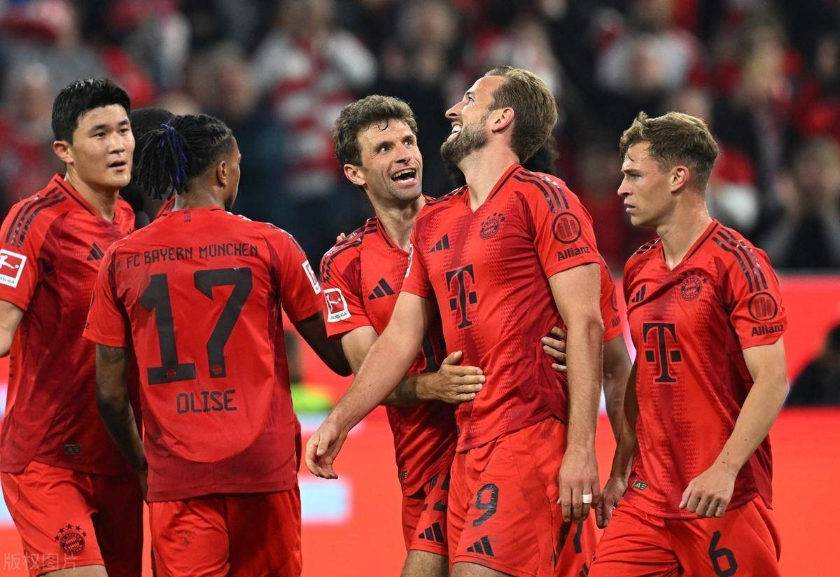 包含b体育下载:德甲的纪律性与团队协作：成功的基石的词条