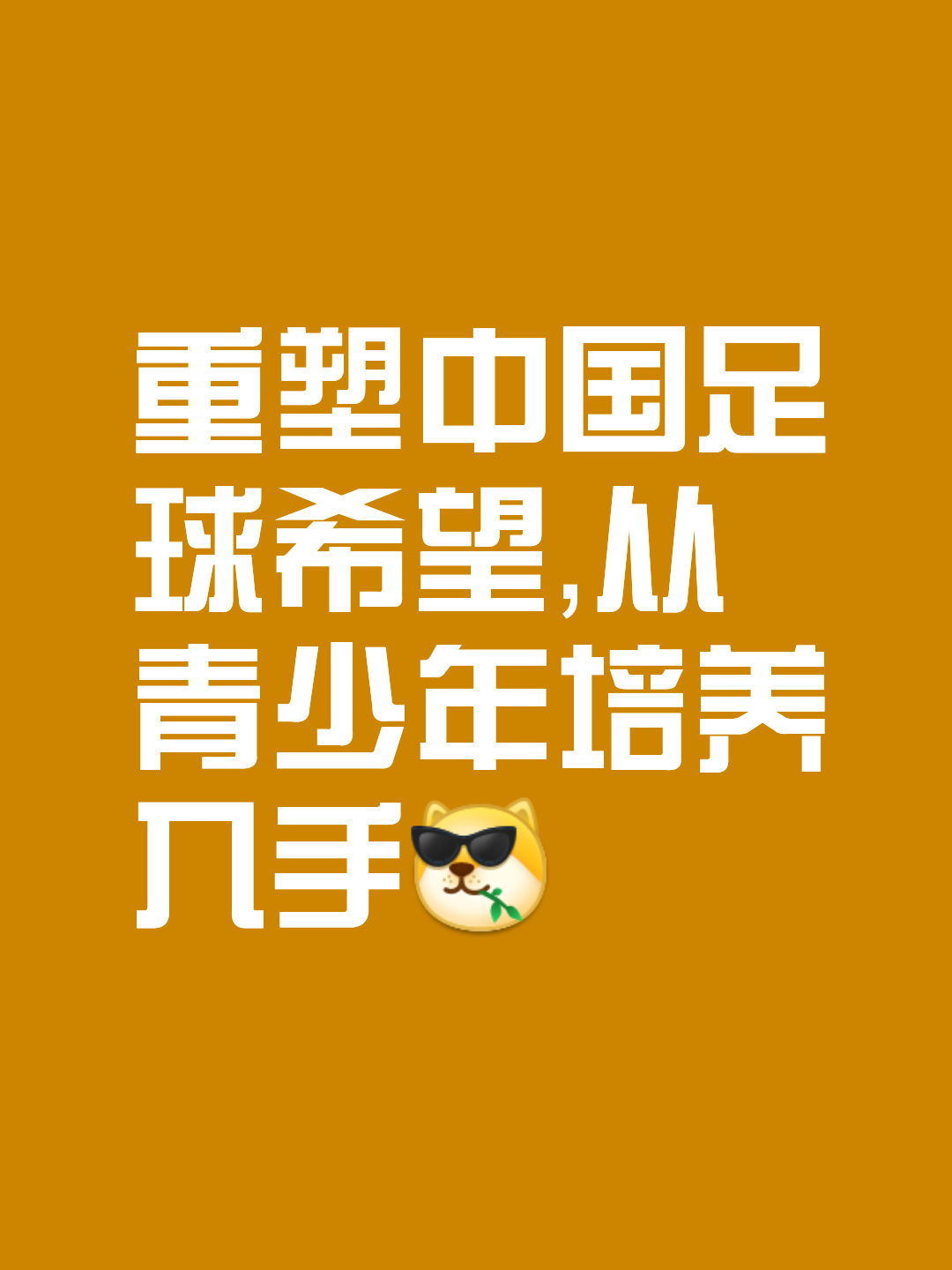 B体育APP:中国足球青训体系：精英培养与普及推广的平衡的简单介绍